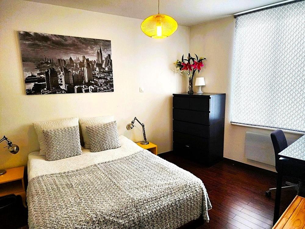 Appartement 3 pièces, Krutenau, Parking privé Strasburgo Esterno foto